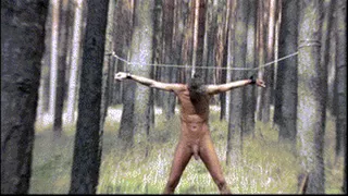 deep in forest - slave is delivered to his Lady