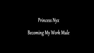 Princess Nyx - Becoming My Work Mule