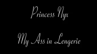 Princess Nyx - My Ass in Lingerie