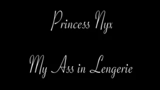 Princess Nyx - My Ass in Lingerie (