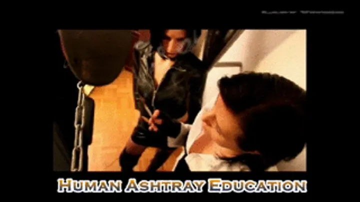 Human Ashtray Education