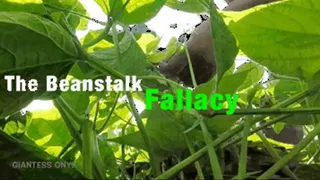 The Beanstalk Fallacy - Black Giantess Onyx