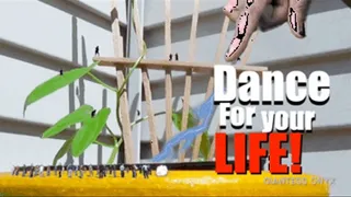 Dance for your life - Black Giantess Onyx