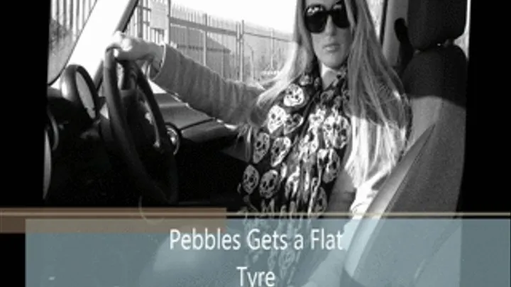 Pebbles Gets a Flat Tyre