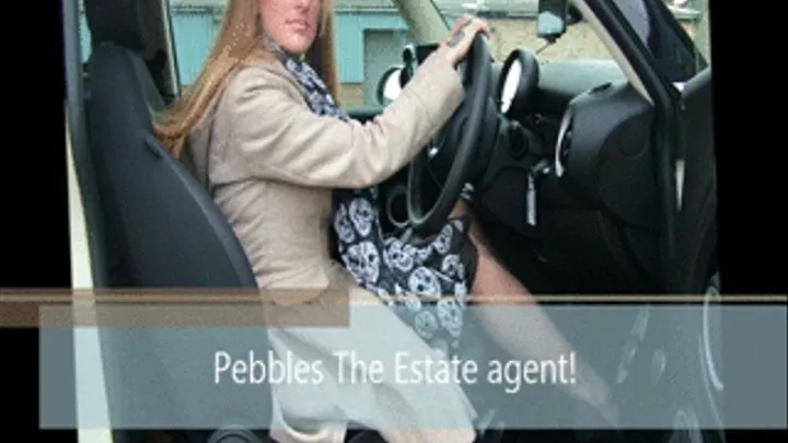 Pebbles The estate agent trouble!