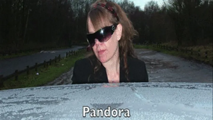 Pandora Dont Park in the MUD!