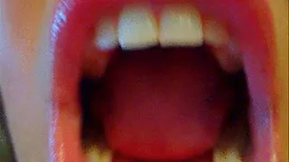 Mouth Closeup #2