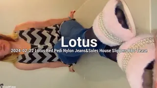 Sweaty House Slippers Nylon Soles BBC Tease - Lotus