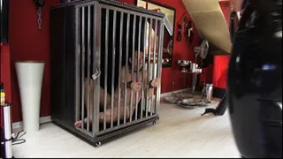 Caged and used: Mistress Ezada using Her slave as a human ashtray