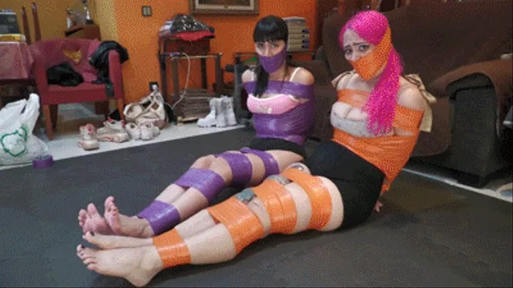 Beatrix and Nala tied up and gagged by Liricaa!