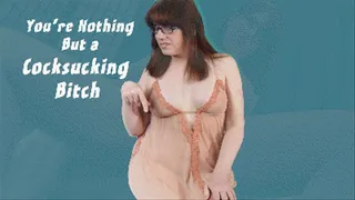 You're Nothing But a Cocksucking Bitch