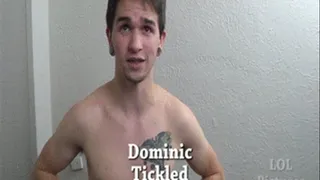 Dominic Tickled Full Clip