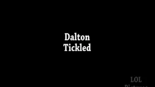 Dalton Tickled Full clip