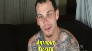 Anthony Tickled Full clip