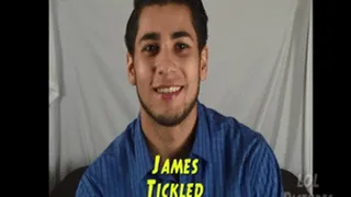 James Tickled Full Clip