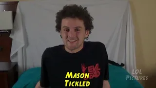 Mason Tickled Full