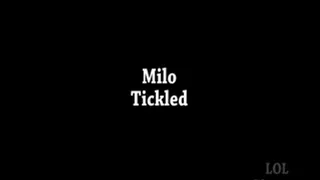 Milo Full clip