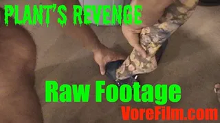 Plant's Revenge - raw footage