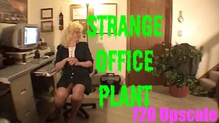 Strange Office Plant - 720res Upscale version