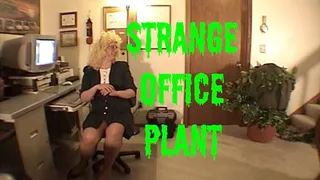 Strange Office Plant - 540res