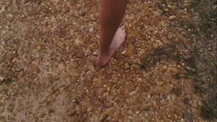 Rachelle's feet