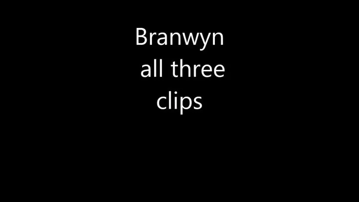 Branwyn 04 - Clips 1, 2 & 3