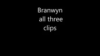 Branwyn 04 - Clips 1, 2 & 3