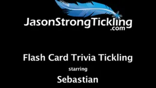 Flash Card Trivia Tickling Starring: Sebastian
