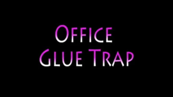 Stuck in the Office Glue Trap