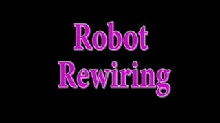 Robot Reprogramming- Lesbian Tendancies