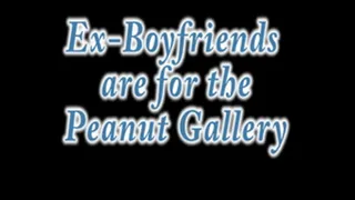 Ex-Boyfriends and teh Peanut Gallery