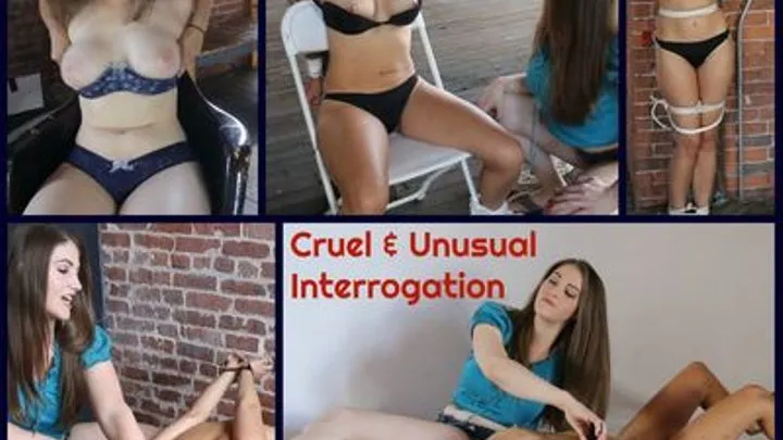 Cruel and Unusual Interrogation