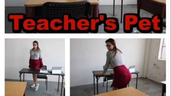 Teacher's Pet