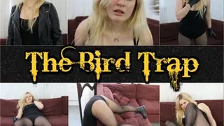 The Bird Trap with Jacquelyn Velvets(mob)