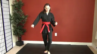 MORGAN'S KARATE KICKS