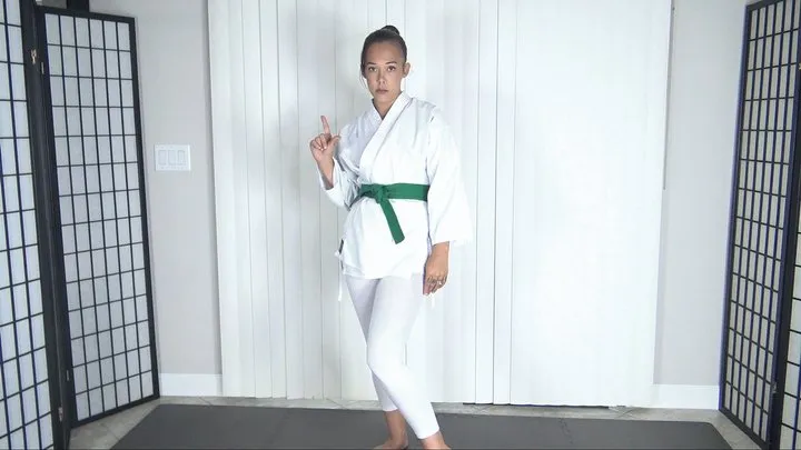 MEIKO JANE'S POV KARATE TAKE DOWN