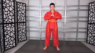 SUSHII'S STRONG KARATE HANDS