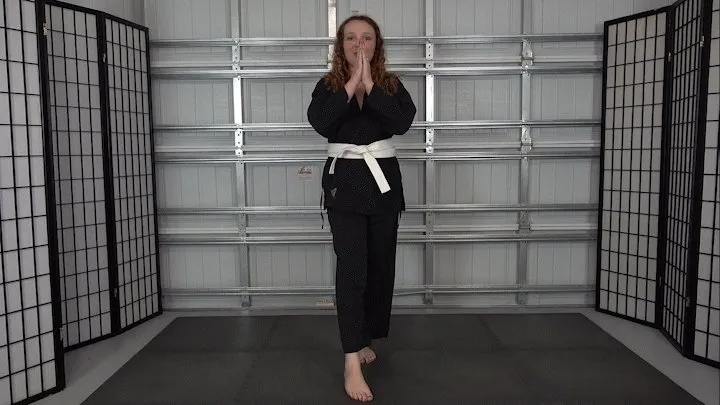 SASSY'S POV KARATE BEATDOWN