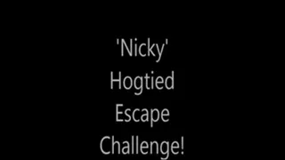 'Nicky'...Hogtied Escape Challenge!...