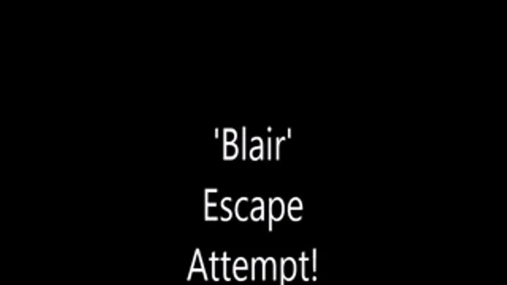 'Blair'.......Escape Attempt!.