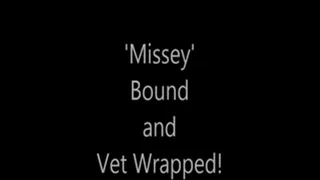 'Missey'.....Bound and Vet Wrapped!