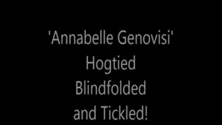 'Annabelle Genovisi'....Hogtied!