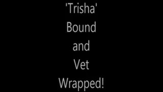 'Trisha'....Bound and Vet Wrapped!...