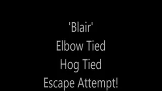'Blair'...Elbow Tied Hog Tied Escape Attempt!..
