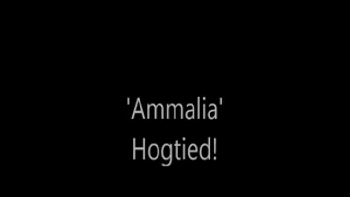 'Ammalia'....Hogtied!....