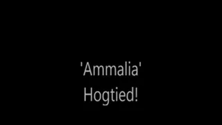 'Ammalia'....Hogtied!....