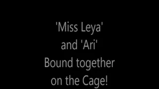 'Miss Leya' and 'Ari'...Bound Together on the Cage!..