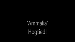 'Ammalia'....Hogtied!.....