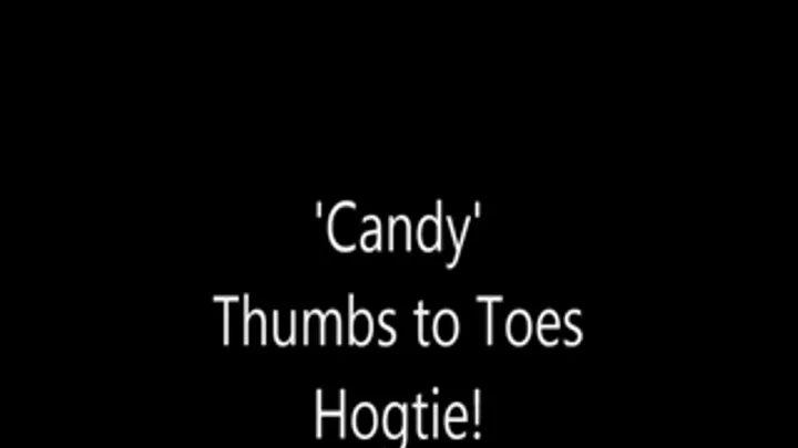 'Candy'....Thumbs to Toes Hogtie!..