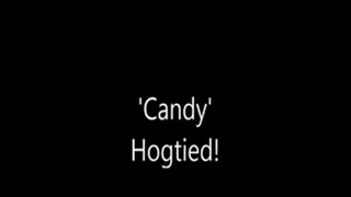 'Candy'....Hogtied!